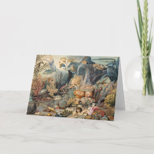 Ozeanwelt, unter dem Meer, nautisch Dankeskarte (Vorderseite)