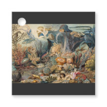 Ozeanwelt, unter dem Meer, nautisch