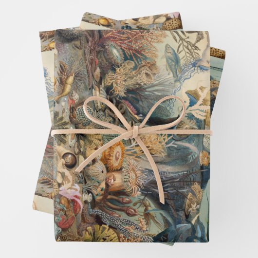 Ozeanwelt, unter dem Meer, nautisch Geschenkpapier Set (Beispiel)