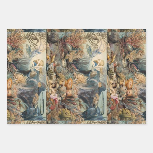 Ozeanwelt, unter dem Meer, nautisch Geschenkpapier Set (Vorderseite)