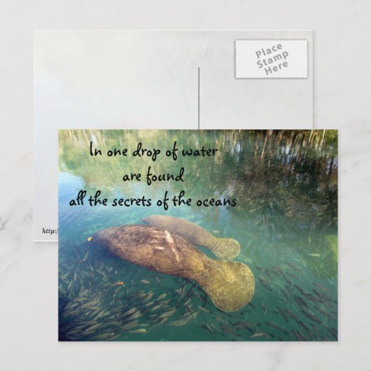 Ozeanziffer Postkarte (Vorne/Hinten)