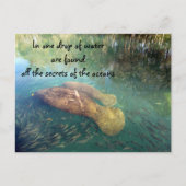 Ozeanziffer Postkarte (Vorderseite)