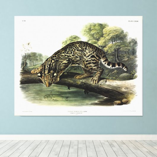 Ozelot, Leopard-Cat (Leopardus pardalis) - Audubon Leinwanddruck (Insitu (Holzboden))