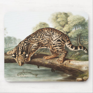 Ozelot, Leopardkatze (Felis pardalis) Illustration Mousepad