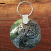 Ozelot liegt schlüsselanhänger (Vorderseite)