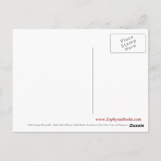 Ozelot (Sorte) Postkarte (Rückseite)