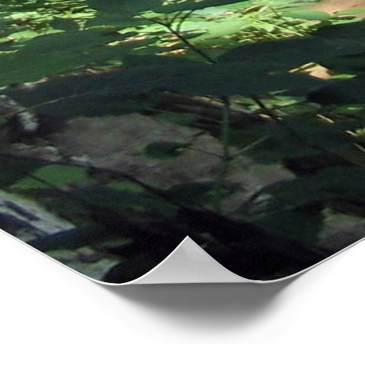 Ozonfälle Poster (Ecke)