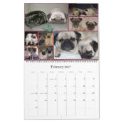 OzPugs 2009 Großer Kalender (Feb 2027)