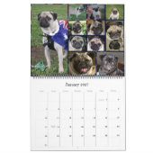 OzPugs 2009 Großer Kalender (Jan 2027)