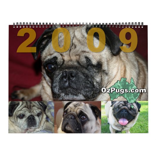 OzPugs 2009 Großer Kalender (Titelbild)