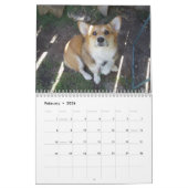 P1010036, Corgi-Liebe-Kalender Kalender (Feb 2026)