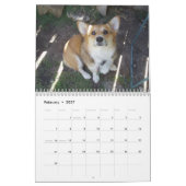 P1010036, Corgi-Liebe-Kalender Kalender (Feb 2027)