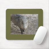 P1010073 Javelina mousepad (Mit Mouse)