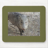 P1010073 Javelina mousepad (Vorne)