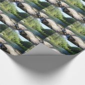 P1090842.JPG GESCHENKPAPIER (Ecke)