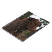 P1 Flatlandersam Nasshund Notizblock (Linke Seite)