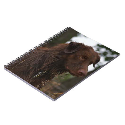 P1 Flatlandersam Nasshund Notizblock (Linke Seite)