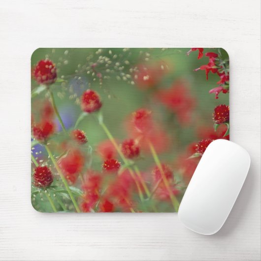 P2290C_strawberry ghomphera_zazzle Mousepad (Mit Mouse)