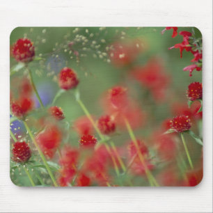P2290C_strawberry ghomphera_zazzle Mousepad