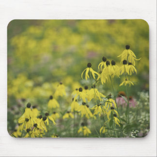 P2526a_yellow coneflower monet_zazzle mousepad