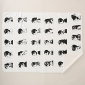 P2 Klassenzimmer-Deckeln Sherpadecke (Vorderseite (Horizontal))