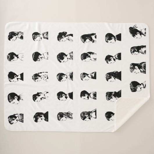 P2 Klassenzimmer-Deckeln Sherpadecke (Vorderseite (Horizontal))