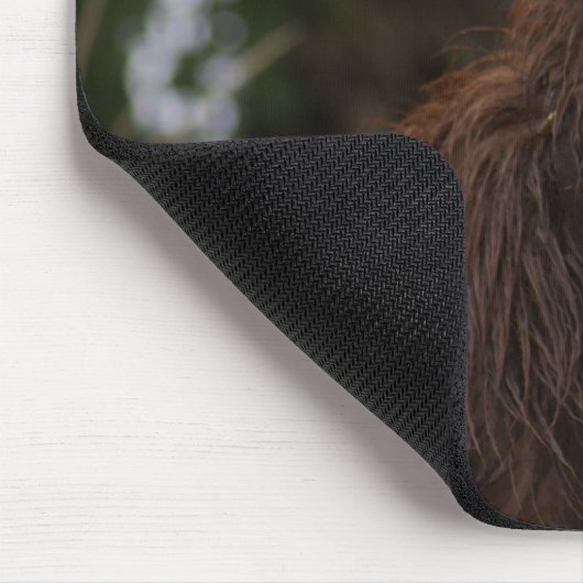 P2 Red Dog Sam Flatlandersam Mousepad (Ecke)