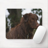 P2 Red Dog Sam Flatlandersam Mousepad (Mit Mouse)