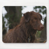 P2 Red Dog Sam Flatlandersam Mousepad (Vorne)