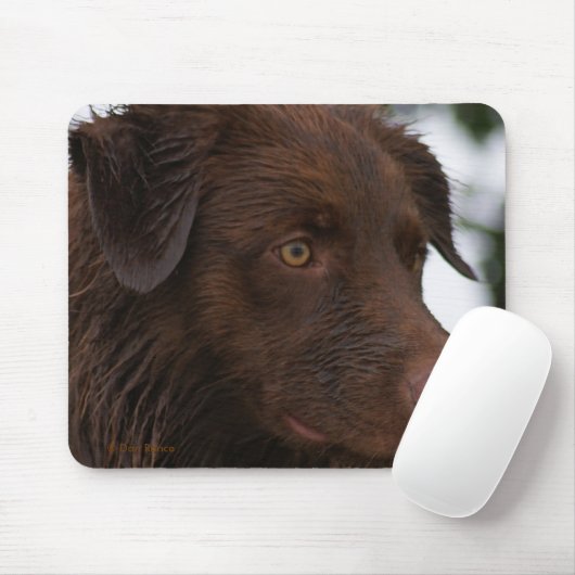 P2a Red Dog Sam Flatlandersam Up Nah Mousepad (Mit Mouse)
