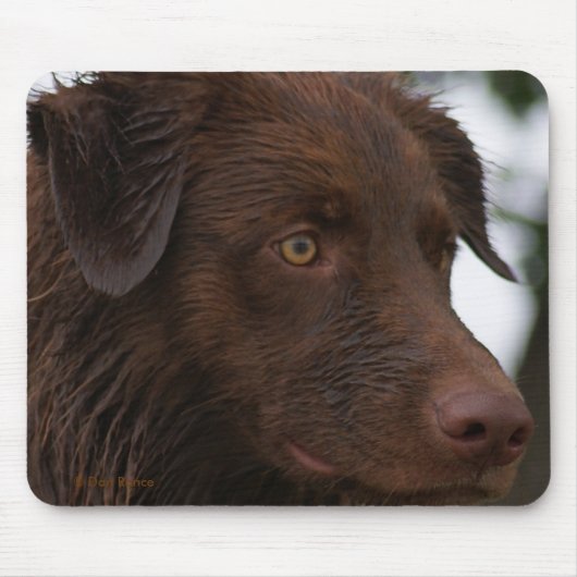 P2a Red Dog Sam Flatlandersam Up Nah Mousepad (Vorne)