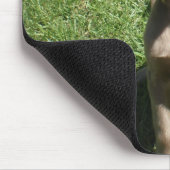 P3091298, Liebe ist ein langhaariges Weimaraner Mousepad (Ecke)