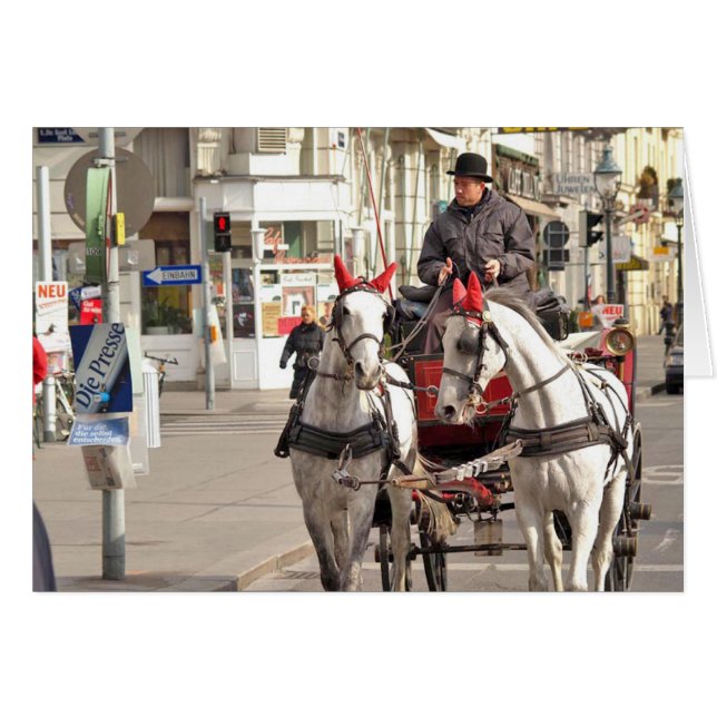 P3171014 (Vorderseite (Horizontal))