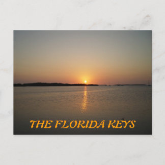 P3310019, DIE FLORIDA-TASTEN POSTKARTE