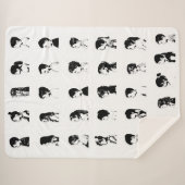 P3 Klassenraum-Deckeln Sherpadecke (Vorderseite (Horizontal))