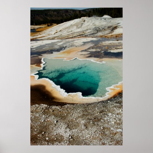 #P4078 Print Poster (Vorne)