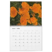 P4079331-LR-1, Blumen des Südwestens, 2008 Kalender (Mär 2026)