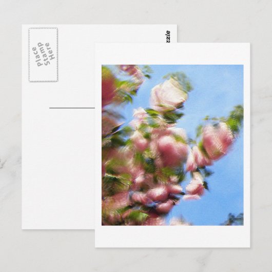 P4240442 POSTKARTE (Vorne/Hinten)