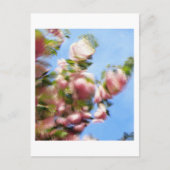 P4240442 POSTKARTE (Vorderseite)