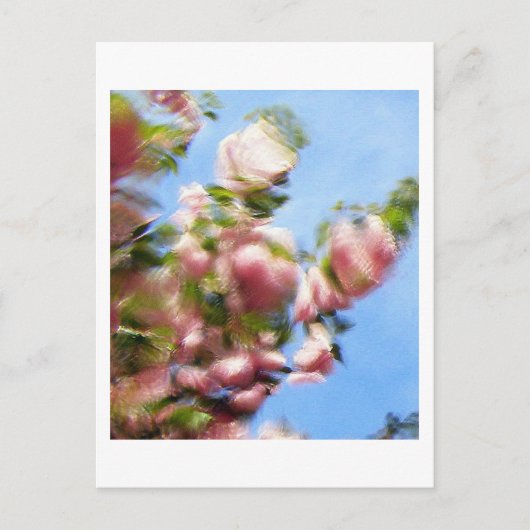 P4240442 POSTKARTE (Vorderseite)