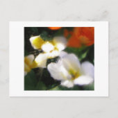 P4290105 POSTKARTE (Vorderseite)