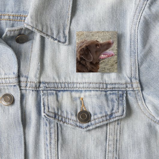 P4 Flachländer-Sam-Profil Button (Beispiel)