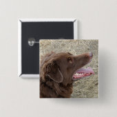 P4 Flatlandersam Profil Button (Vorne & Hinten)