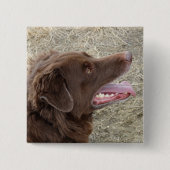 P4 Flatlandersam Profil Button (Vorderseite)