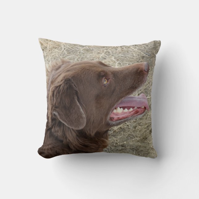 P4 Flatlandersam Profil Kissen (Vorderseite)