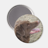 P4 Flatlandersam Profil Magnet (Vorderseite/Rückseite)