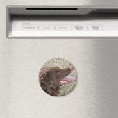 P4 Flatlandersam Profil Magnet (In Situ (Geschirrspüler))