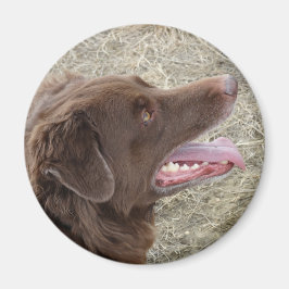 P4 Flatlandersam Profil Magnet