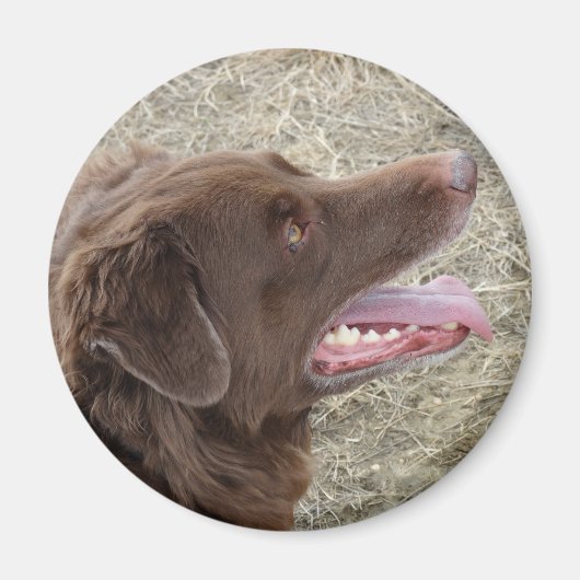 P4 Flatlandersam Profil Magnet (Vorne)