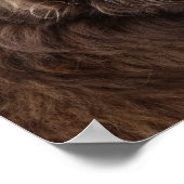 P4 Flatlandersam Profil Poster (Ecke)